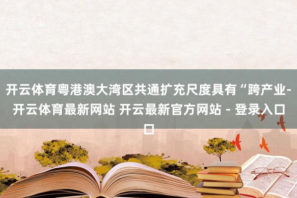 开云体育粤港澳大湾区共通扩充尺度具有“跨产业-开云体育最新网站 开云最新官方网站 - 登录入口