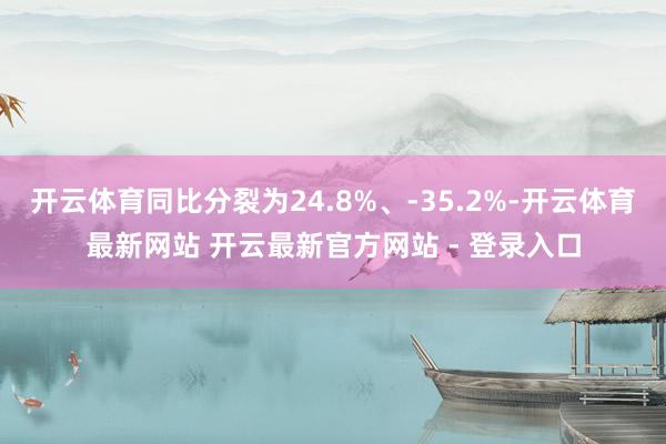 开云体育同比分裂为24.8%、-35.2%-开云体育最新网站 开云最新官方网站 - 登录入口