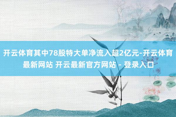 开云体育其中78股特大单净流入超2亿元-开云体育最新网站 开云最新官方网站 - 登录入口